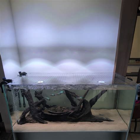 Products24 Store | Custom Aquarium Lids | Custom Aquarium Products