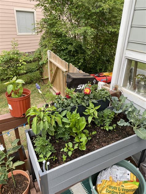 Our garden. We just can’t stop buying plants and things and it’s ...