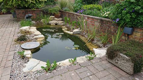 Butterfly Spanish Tutorial 的图像结果