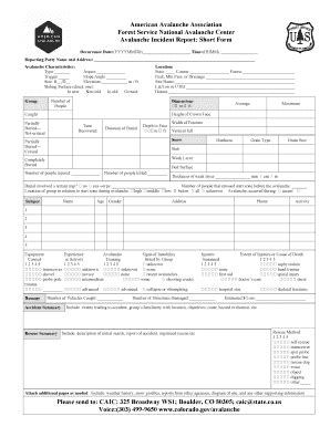 Avalanche Accident Reporting Form - American Avalanche ... - Fill and ...