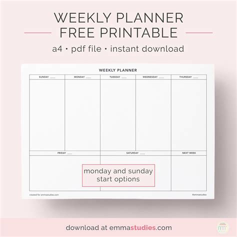 Weekly Undated Planner - Planner Organization Hacks