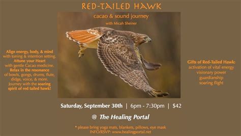 Red-Tailed Hawk Sound & Cacao Journey with Micah & Carmela, The Healing ...