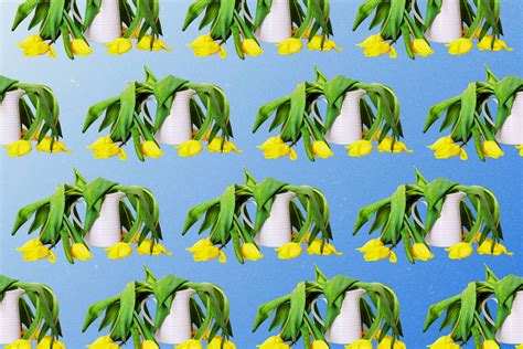 Image result for Spring Dereting