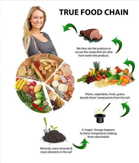 1. what is food chain? pls explain me with the diagram. - Brainly.in