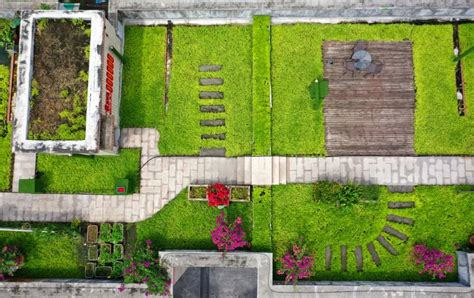 三年打造一个“空中花园”，绿八居民的生活越过越“有劲”
