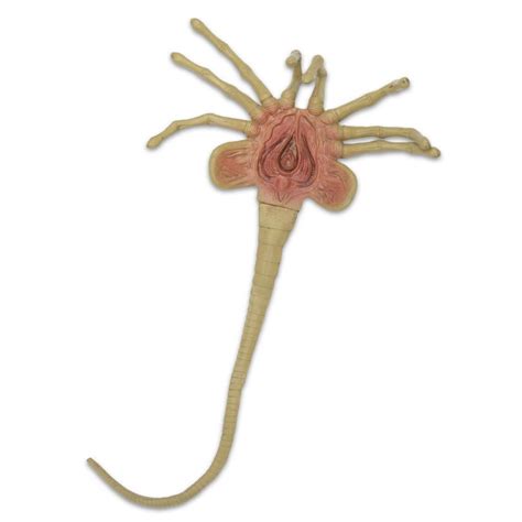 Image result for Alien Facehugger Types