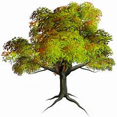 Clipart Transparent Background Png Tree by Autumn Png Tree Clipart Gallery Yopriceville High Clipart Transparent Background Png Tree