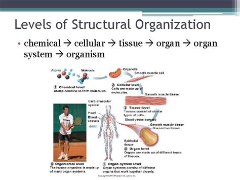 Example of System Structure 的图像结果