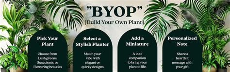 Crazyflora - Outdoor Plants | Indoor Plants in Bangalore