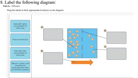 Image result for Diagram of Concentration Gradient