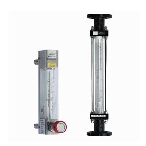 Float Flowmeter 的图像结果