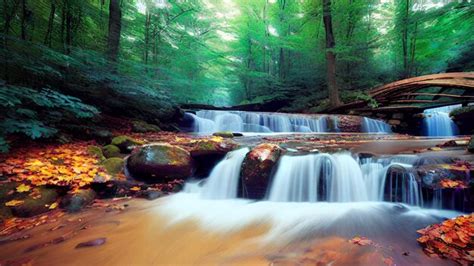 Image result for High Resolution Background Images