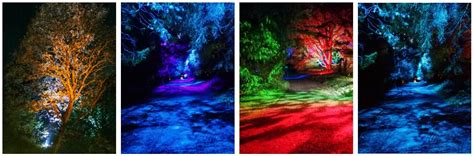 Image result for Back Yard EOS Tutorial