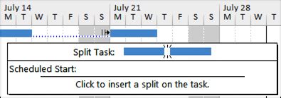 Image result for MS Project How to Split a Task