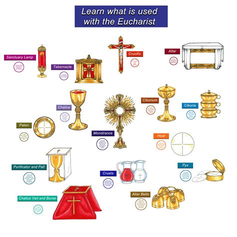 Learn what is used with the Eucharist - LLCO343 in 2025 | Eucharist ...
