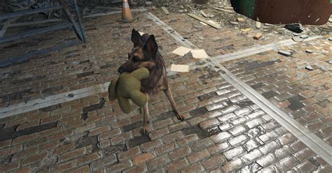 Image result for Fallout 4 World Map