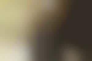 Upscale Safari Collections : "safari inspired fashion"