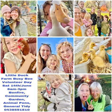 Little Duck Farm Busy Bee Volunteer Day , 5 Balwina road Greenfields ...