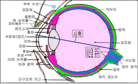 Image result for Alien Lens Sunglasses
