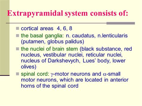 Image result for Extrapyramidal System