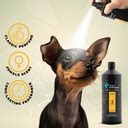 Groom Professional Diva Cologne (Perfume)[Flavor - Exotic Female Scent ...