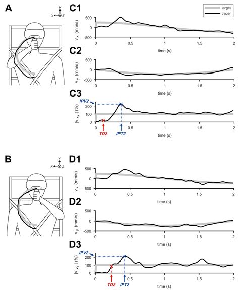 Analysis of Control Characteristics between Dominant and Non-Dominant ...