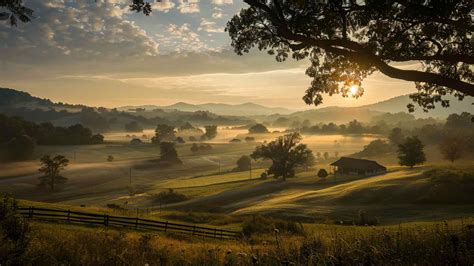 145 Fun Facts About Tennessee That Will Amaze You