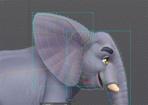 Image result for Cycle Animation Animals