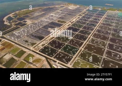 Simple Java Drown Farm 的图像结果