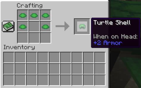 Image result for How to Craft a Turtle Shell in Minecraft