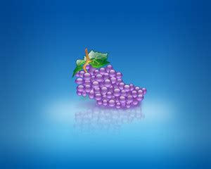 Grapes Sticker Poster|Kitched décor|Food Posters|size:12x18 inch Paper ...