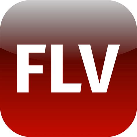 Image result for FLV File
