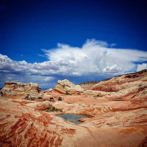 White Pocket, AZ [3024x4032] [OC] : r/EarthPorn
