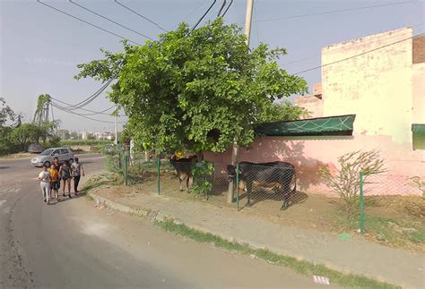 Welcome to e-Auction Portal