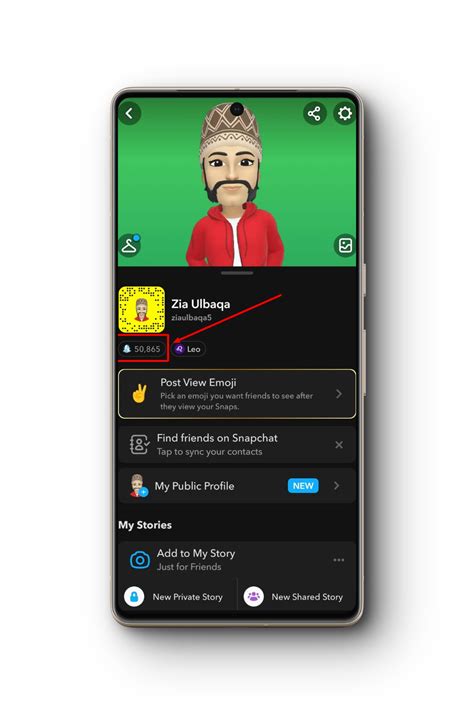 Image result for Snap Score Bot