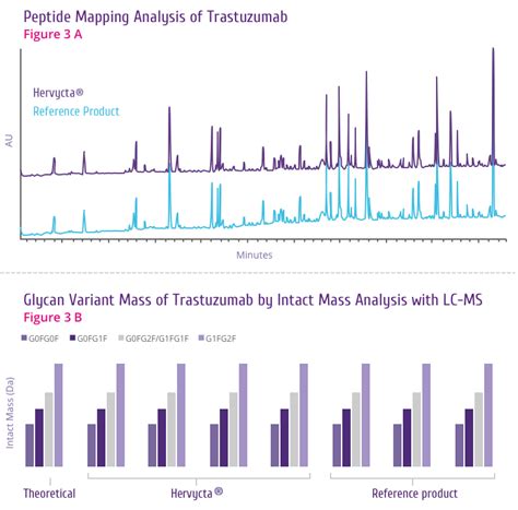 Registered Medical Practitioners