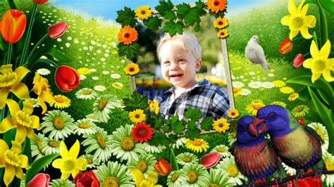 Image result for Spring Profile Frame