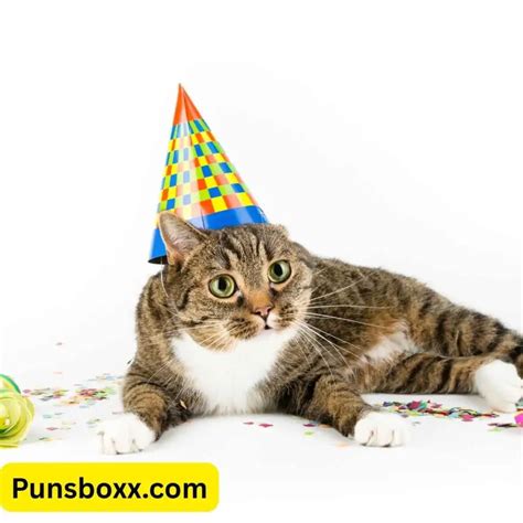 Fur-tastic Cat Birthday Puns to Paws-itively Rock 2025!