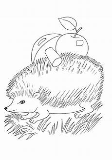 ausmalbild igel mit apfel ausmalbilder f 252 r kinder igel mit apfel ausmalbild igel mit apfel ausmalbilder f 252 r kinder igel mit apfel