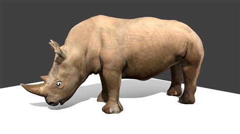 Rhinoceros Free 3D Models download - Free3D