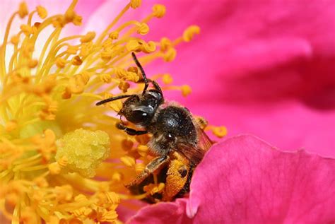 Coco Island -UPSC Current Affairs - IAS GYAN