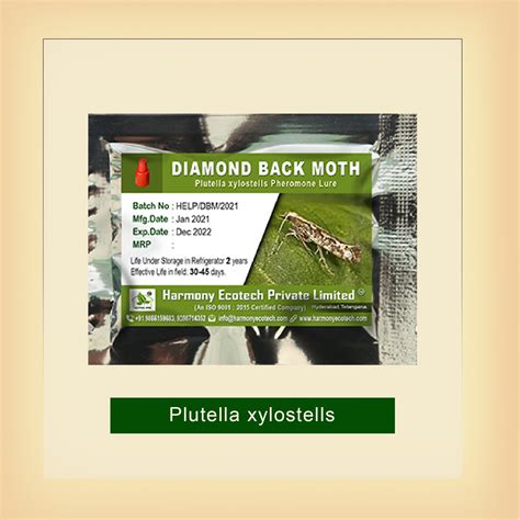 Diamond Back Moth Pheromone Lure – HarmonyEstore
