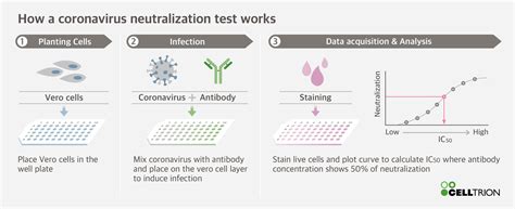 Neutralization Test 的图像结果