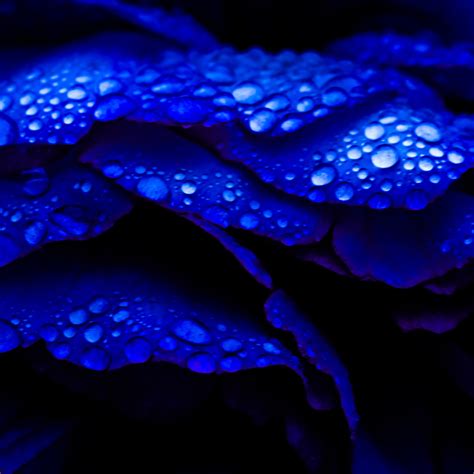 Image result for Blue Background Loop