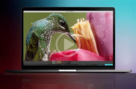 Image result for 2020 DxO Tutorials