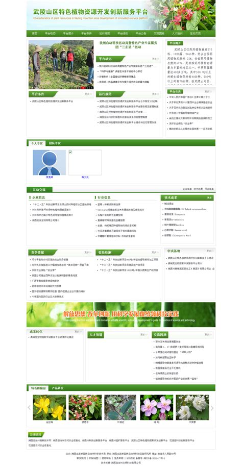文字书写文本Seo服务商业照片展示了提高网站知名度的技高清图片下载-正版图片504467382-摄图网