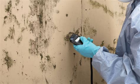 Image result for Mold Remediation Testing
