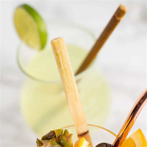 Raw Sugar Cane 7"L Swizzle Sticks - Pack of 20 - Buy Online | Foraged