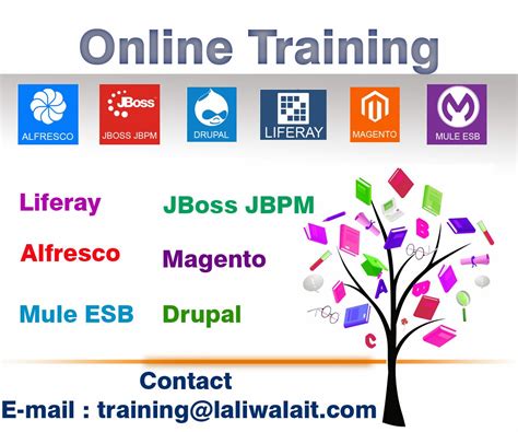 Liferay Development Tutorial 的图像结果