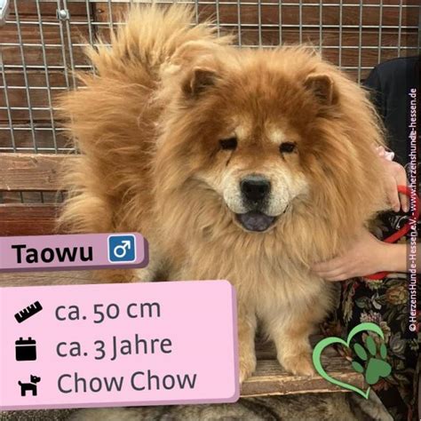 Kostenlose Kleinanzeigen - fast-alles.net